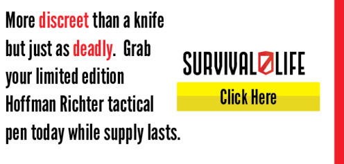 grab your military survival pen stinger by hoffmen richter